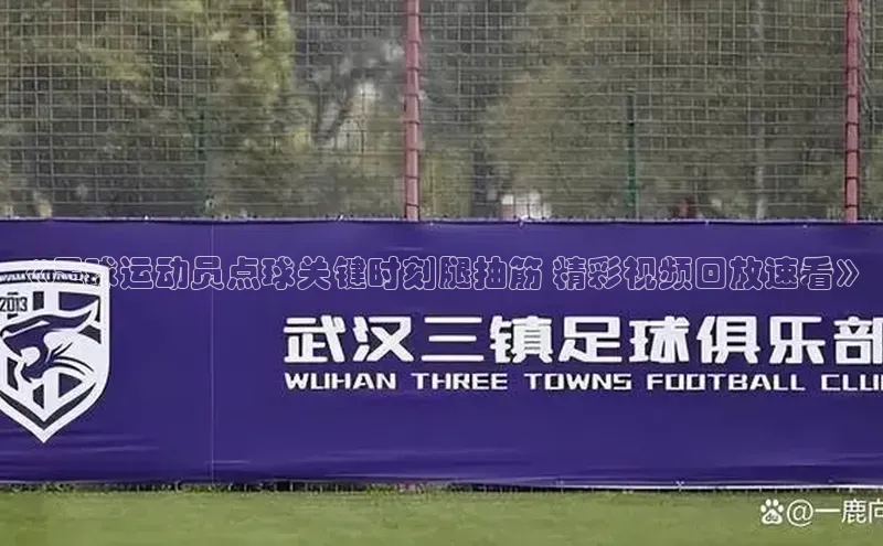 333体育平台app视觉中国《足球运动员点球关键时刻腿抽筋 精彩视频回放速看》