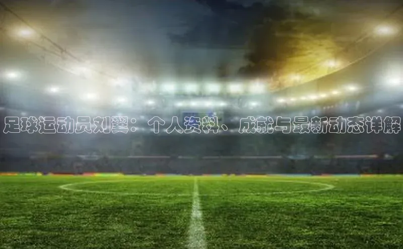333体育app官方下载百度集团足球运动员刘翼：个人资料、成就与最新动态详解