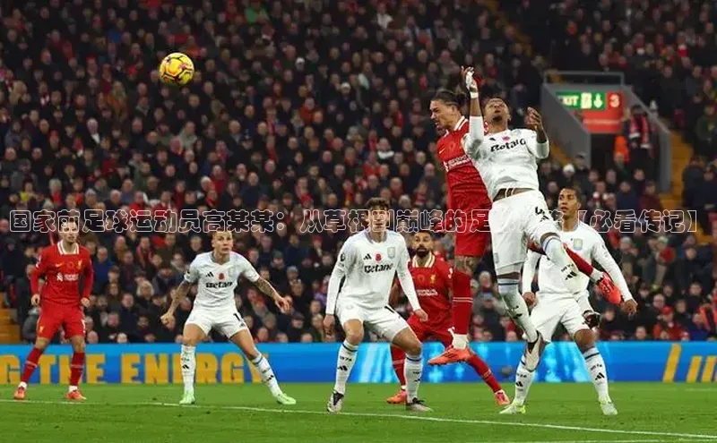 333体育手机版入口度小满支付国家前足球运动员高某某：从草根到巅峰的足球之路【必看传记】