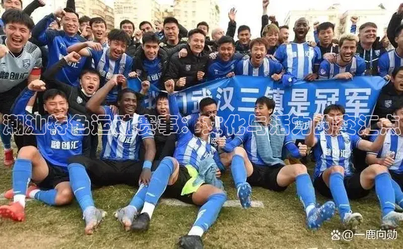 333体育app最新版本更新内容百度技术学院潮汕特色运动赛事：文化与活力的交汇点