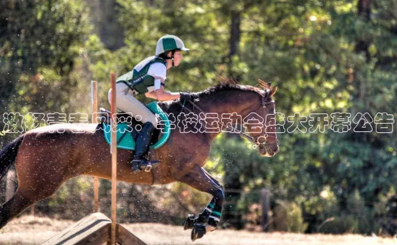 333体育app官方最新版本功能介绍蓝色光标激扬青春风采：学校运动会盛大开幕公告