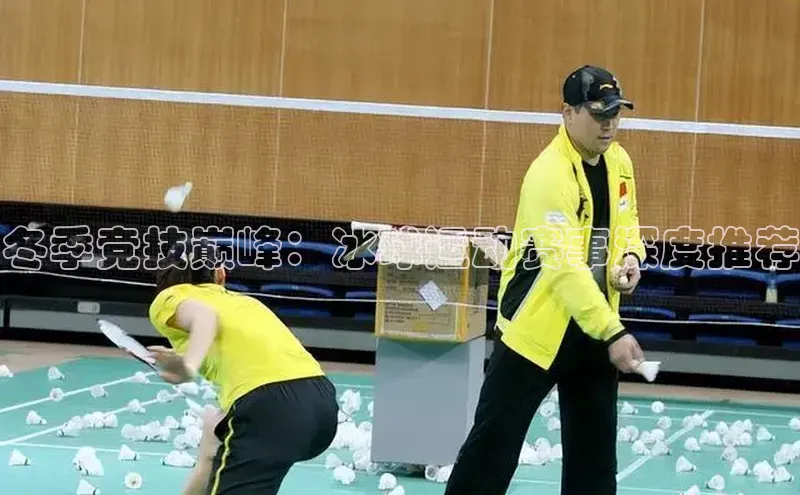 冬季竞技巅峰：冰球运动赛事深度推荐