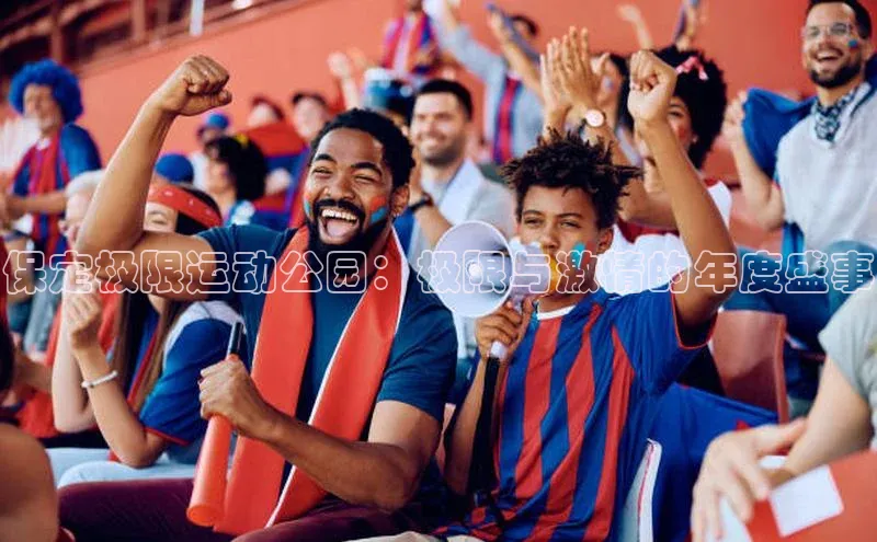 保定极限运动公园：极限与激情的年度盛事