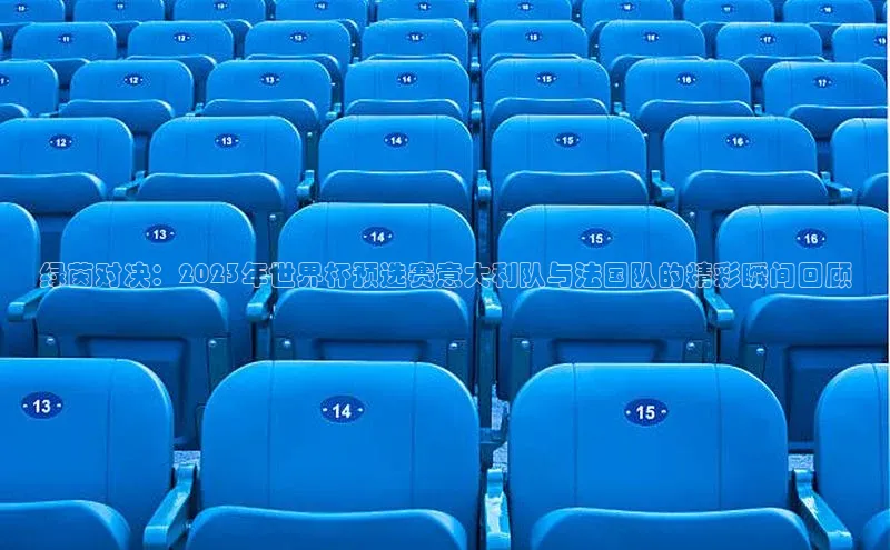 绿茵对决：2023年世界杯预选赛意大利队与法国队的精彩瞬间回顾