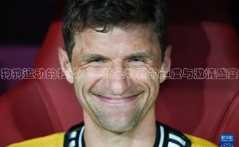 狗狗运动的狂欢：一场宠物界的速度与激情盛宴