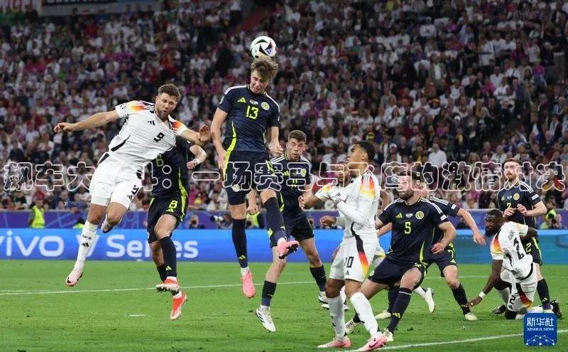 飙车大乱斗：一场赛马与飞鹰的激情对决