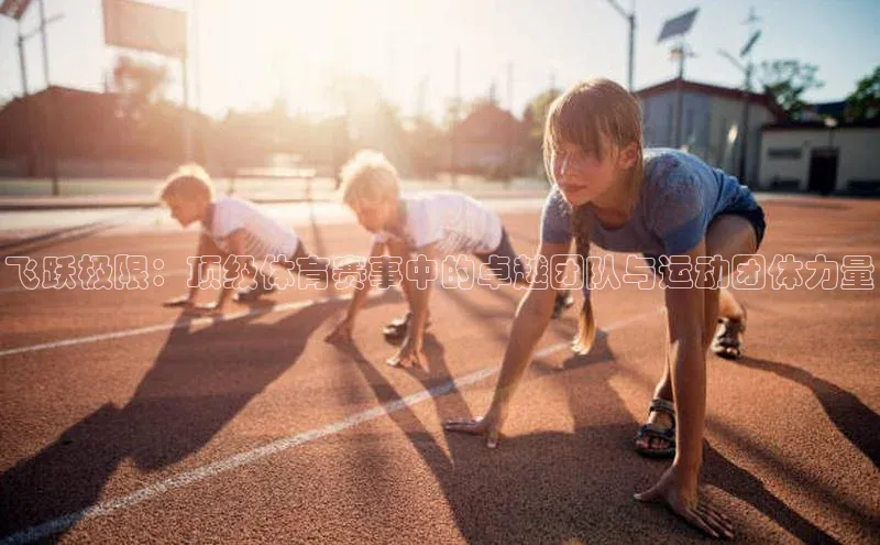 飞跃极限：顶级体育赛事中的卓越团队与运动团体力量