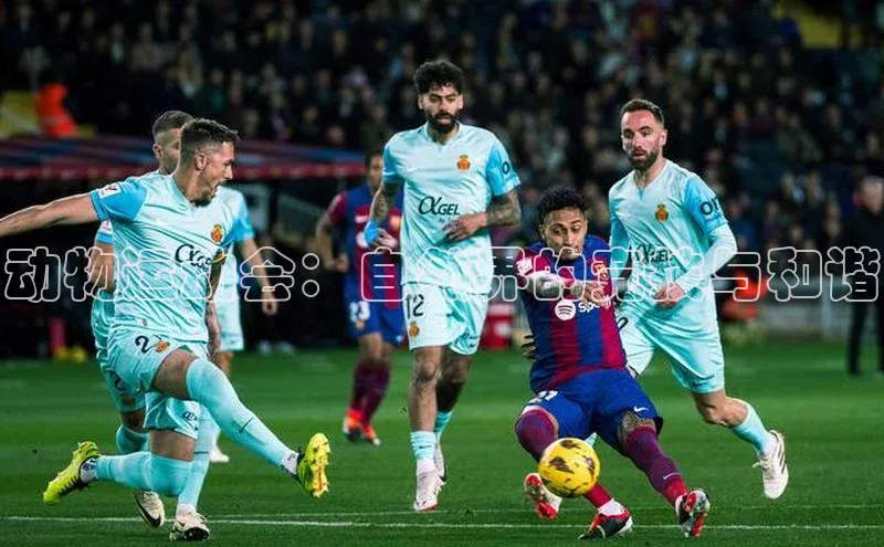 动物运动会：自然界的竞技与和谐