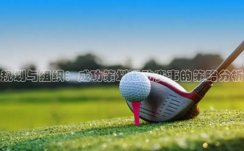 规划与组织：成功策划运动赛事的策略分析