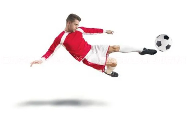 333体育平台app台登录