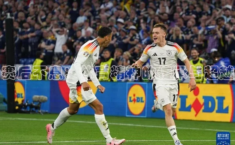 333体育平台App下载