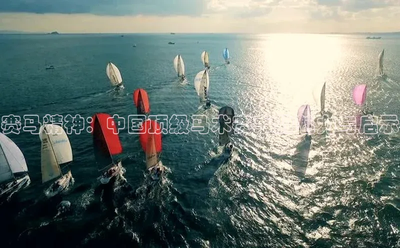 333体育平台app台登录