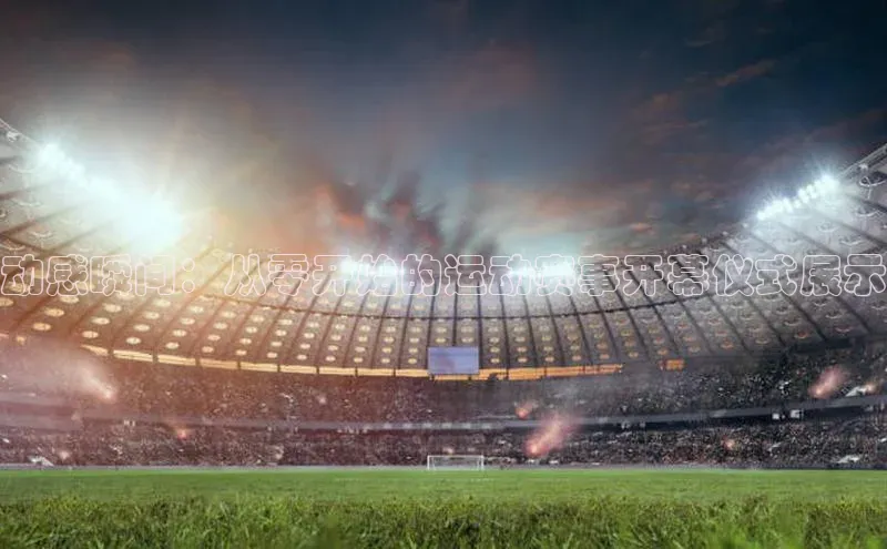 333体育官网app下载