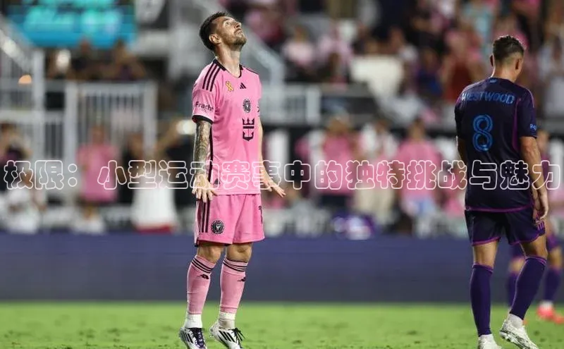 极限：小型运动赛事中的独特挑战与魅力